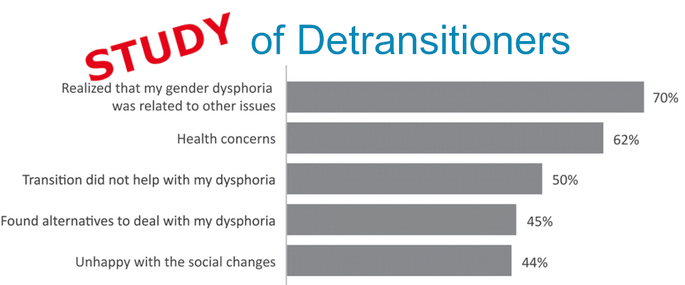 A new study looks at detransition-related needs and support